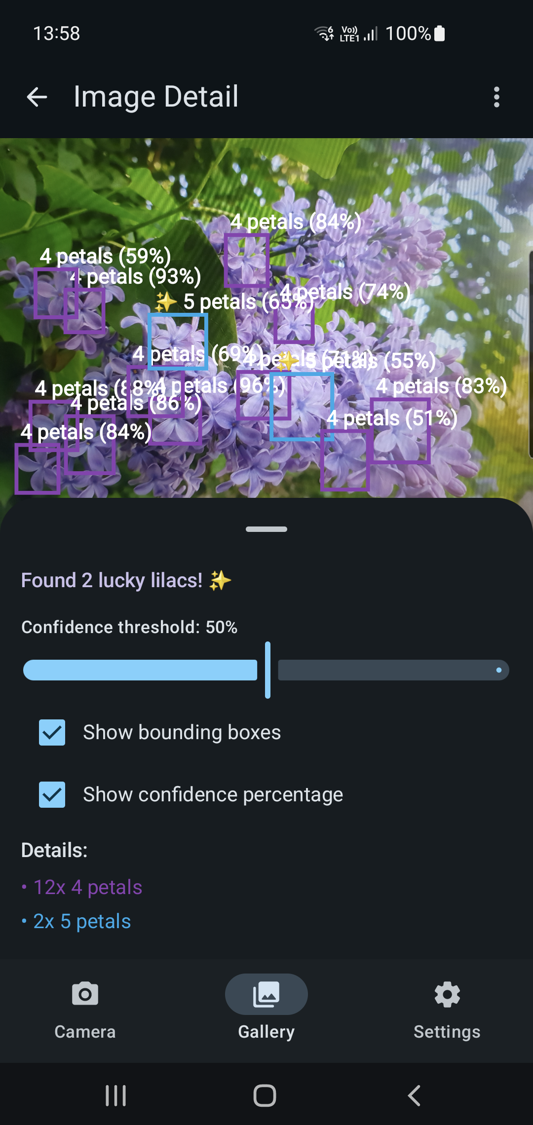 Gallery analysis mode